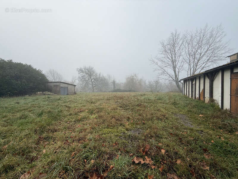 Commerce à PEYREHORADE