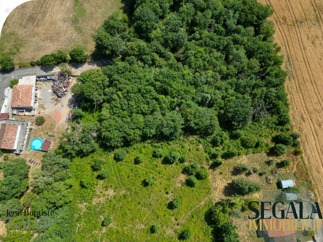 Terrain constructible de 4 526 m2 à Mirandol-Bourgnounac - photo 4