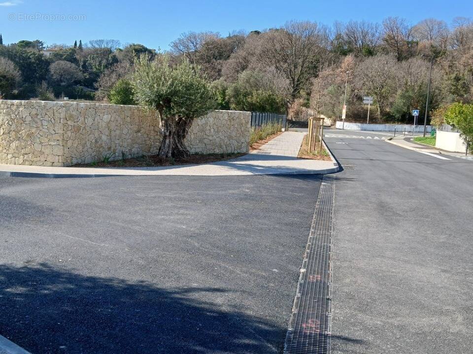 Terrain à SAINT-MATHIEU-DE-TREVIERS