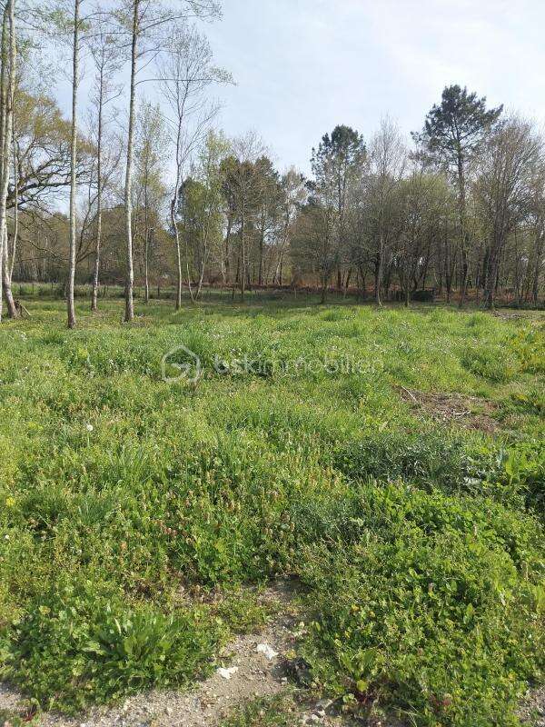 Terrain constructible - photo 2