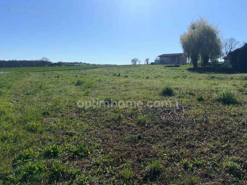 Terrain à CADOURS
