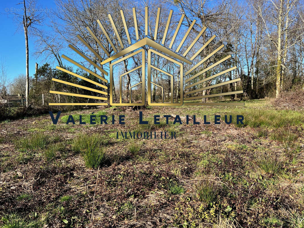 Terrain à SALLEBOEUF