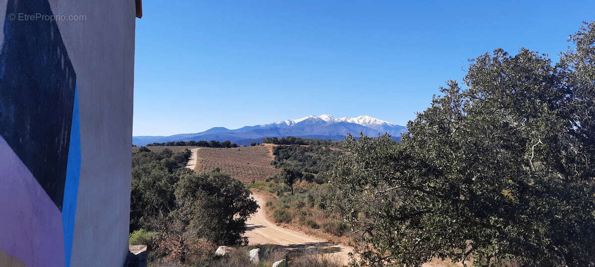 Terrain de loisir vallespir nature vue canigou  casot 10625m2 - photo 10