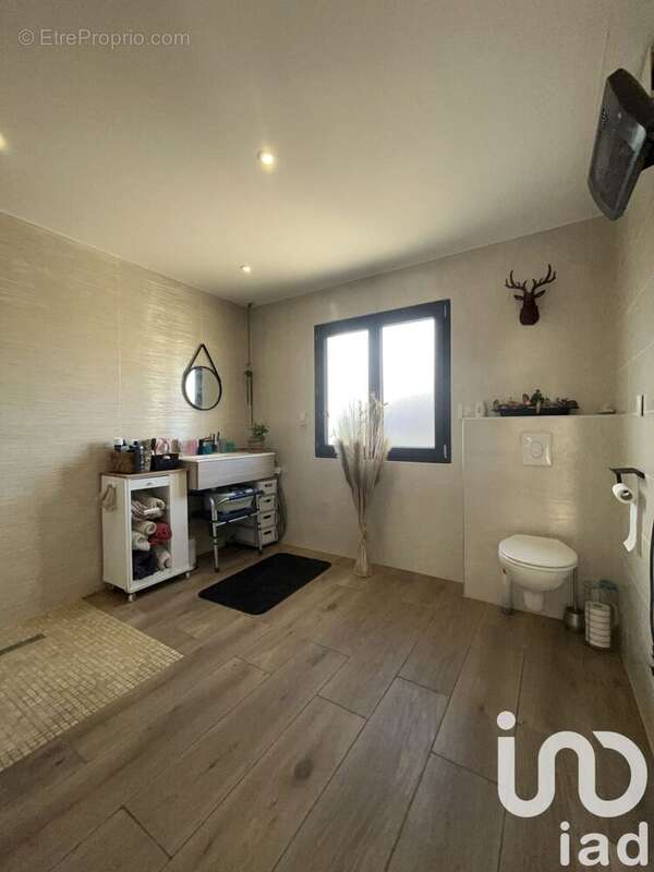 Photo 7 - Maison à MONTLAUR