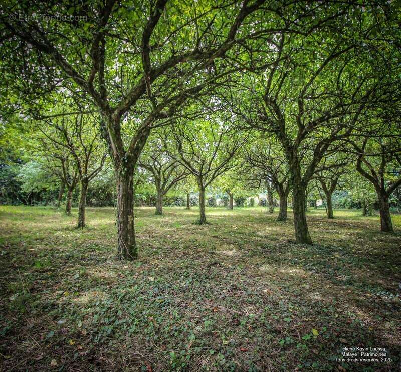 La métairie de Lagouarde à Pouillon de 1,3 hectare - photo 7