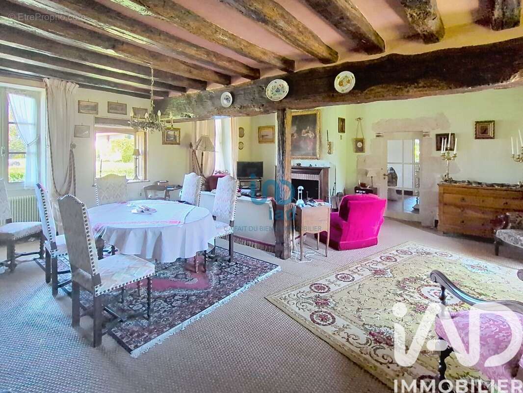 Photo 4 - Maison à OUZOUER-SUR-TREZEE