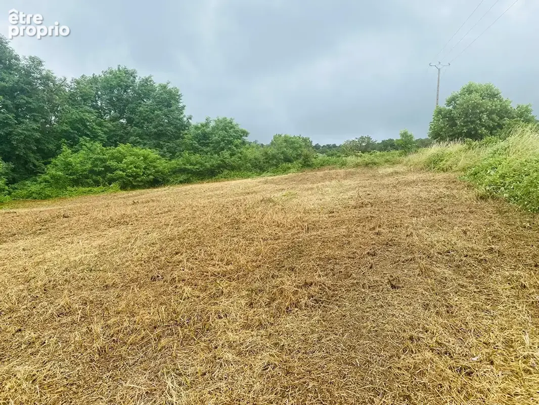 Terrain 3479m² à planioles - photo 6