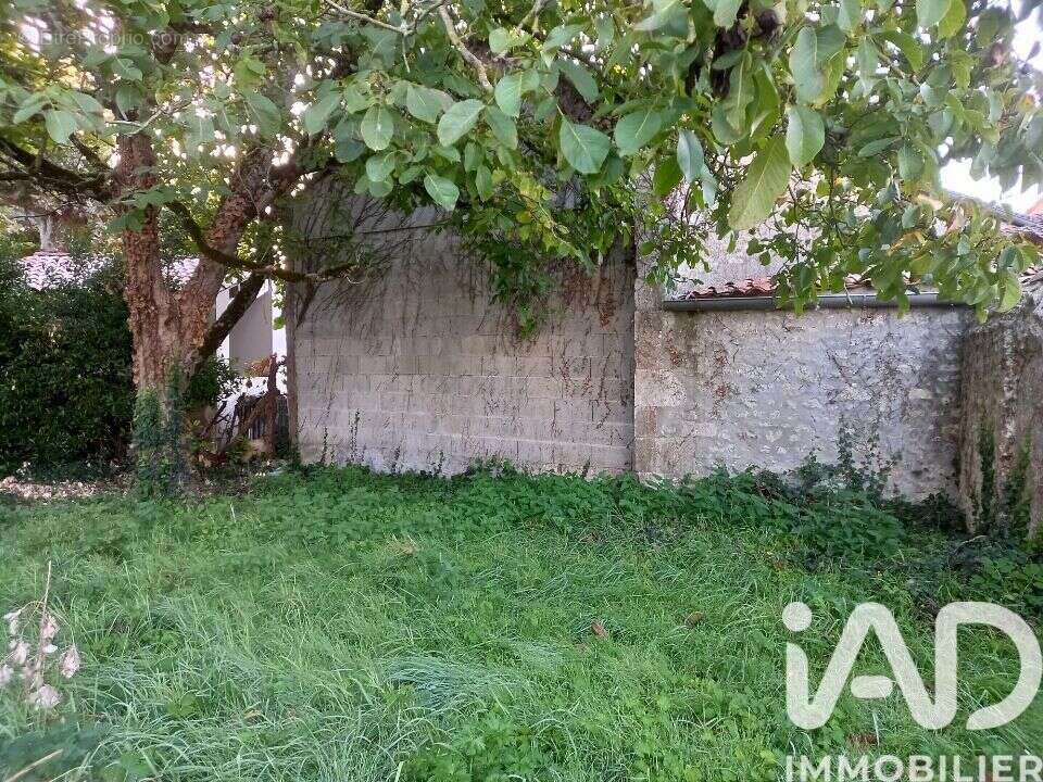 Photo 3 - Terrain à SAUJON