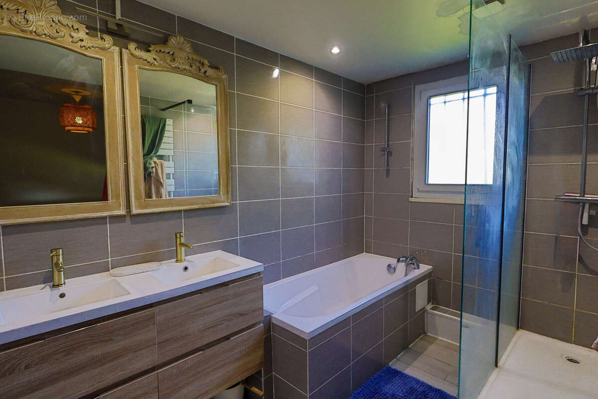 Maison à SAINTRY-SUR-SEINE