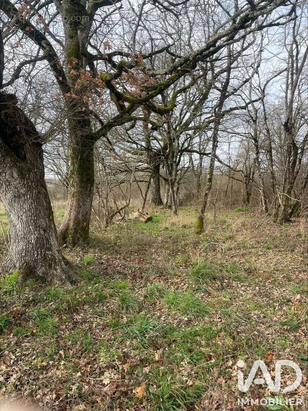Terrain 7042 m² à Dunet  - photo 6