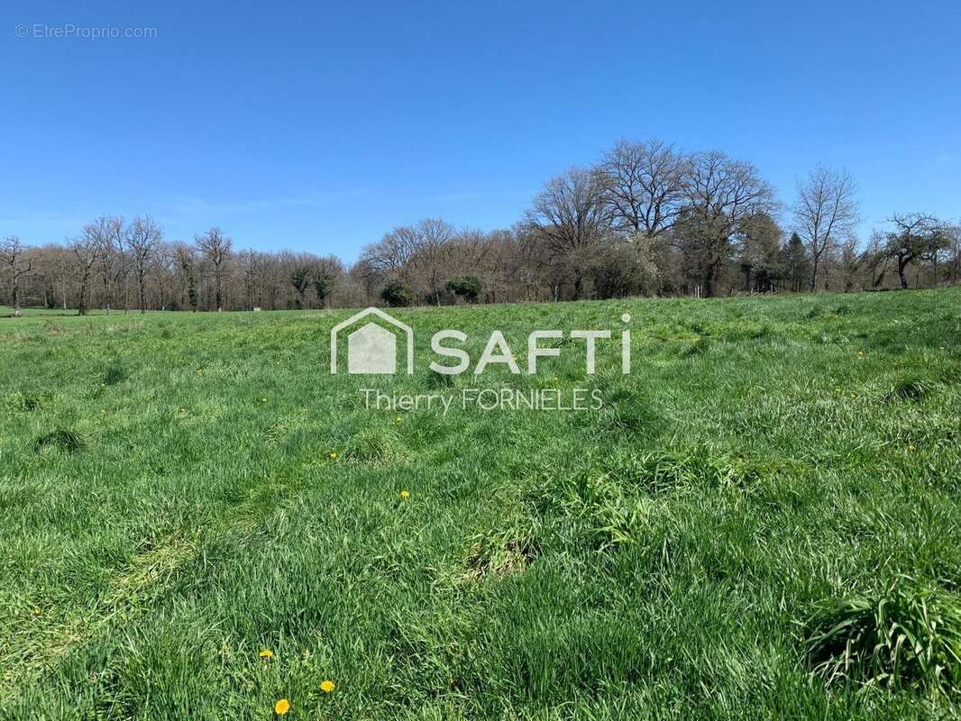 Photo 5 - Terrain à SAINT-JUST-LE-MARTEL