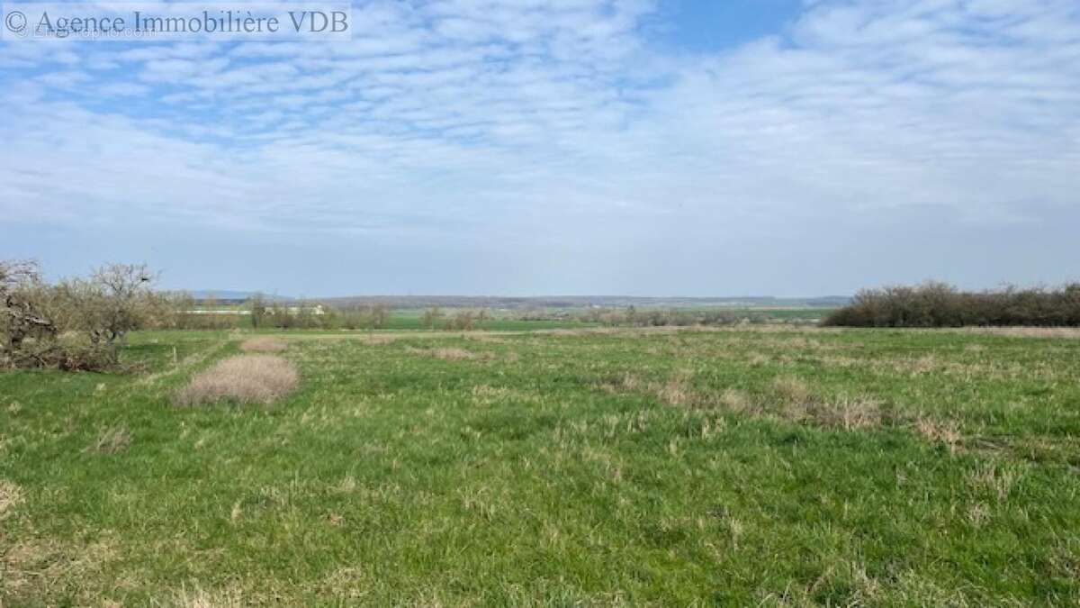 Terrain à HARAUCOURT