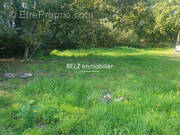 Terrain à BELZ