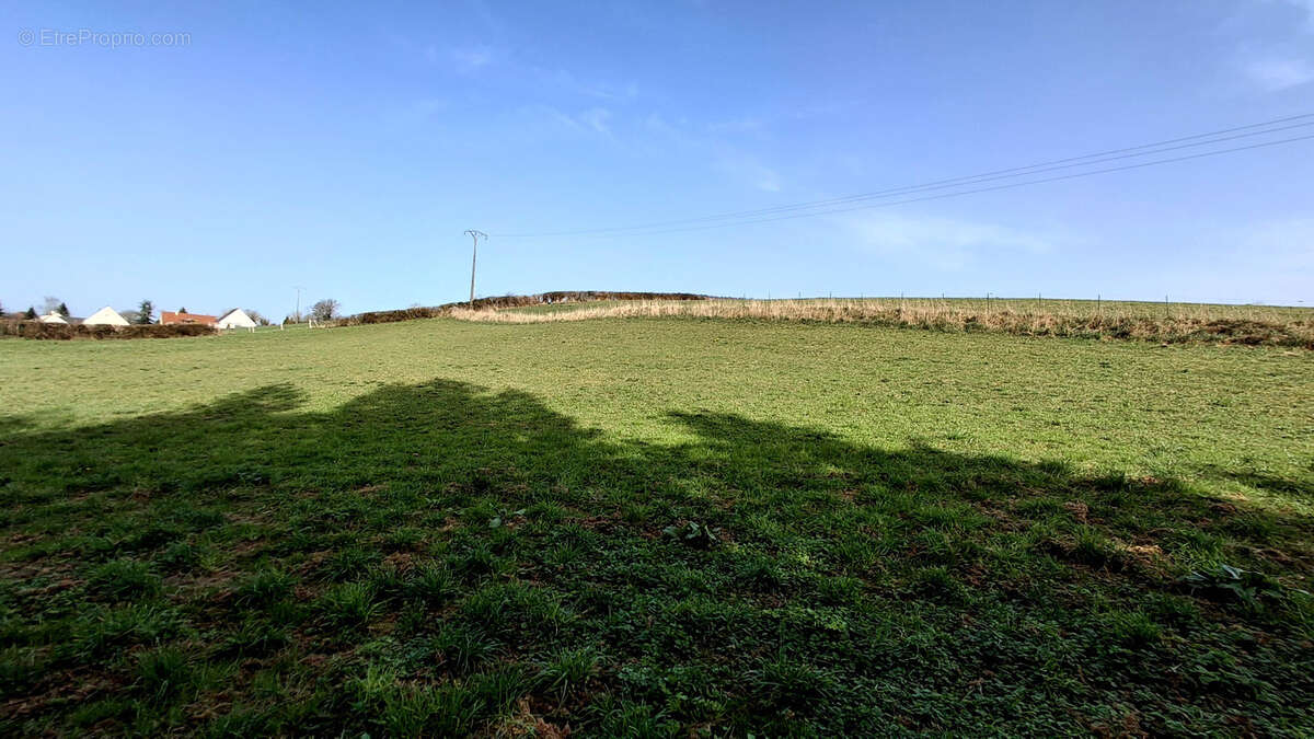 Terrain à TORCY-LE-PETIT