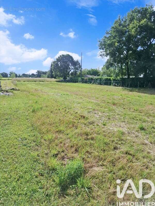 Terrain 2289 m² à Terssac  - photo 3