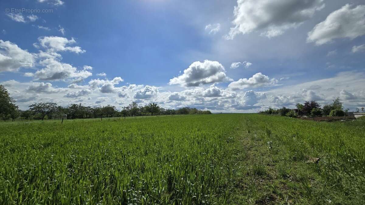 Terrain à GOTTESHEIM