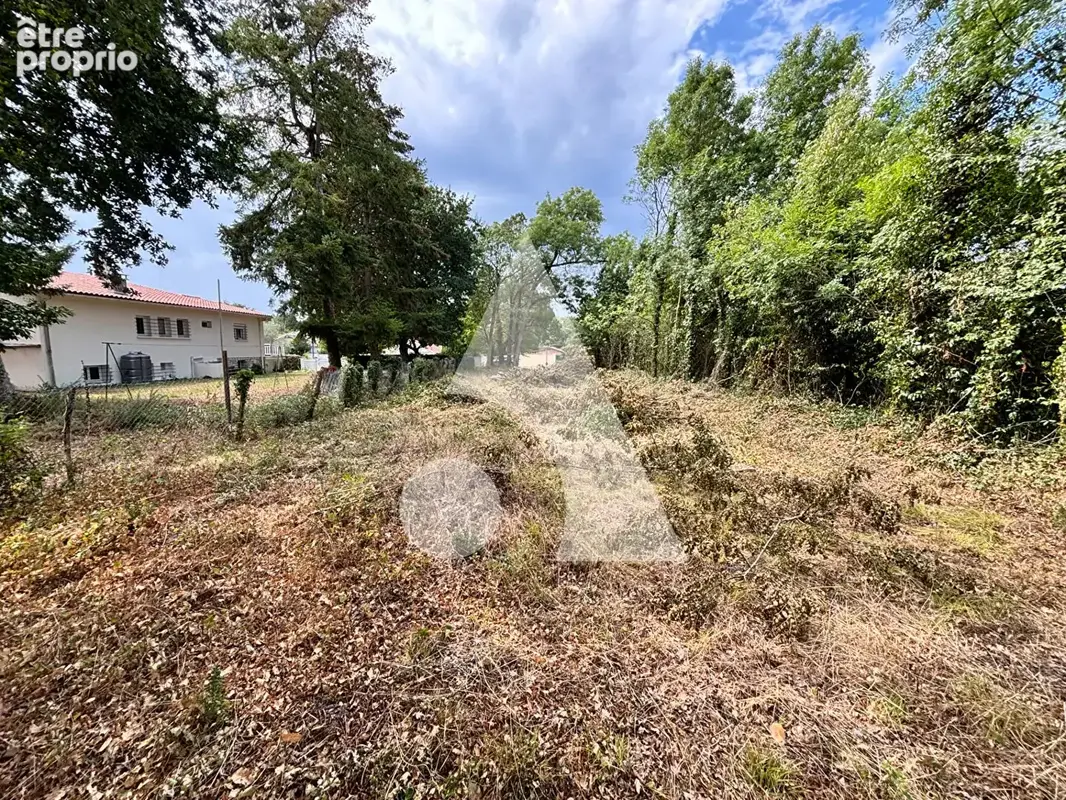 Terrain Etaules 2335 m2 avec partie constructible et espace boisé privatif - photo 7