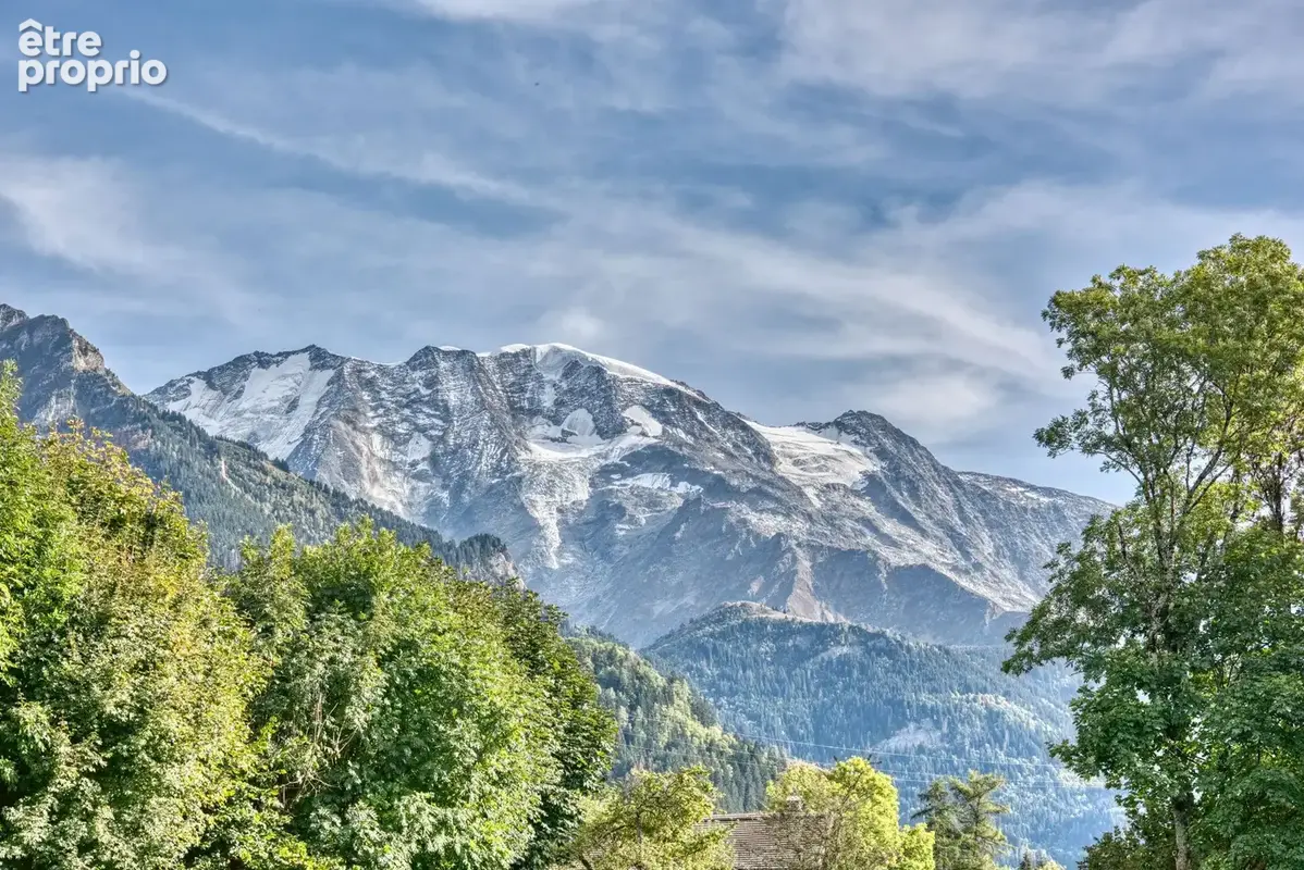 Terrain 1 075 m² à vendre à Saint-Gervais-Les-Bains (74170) - photo 5