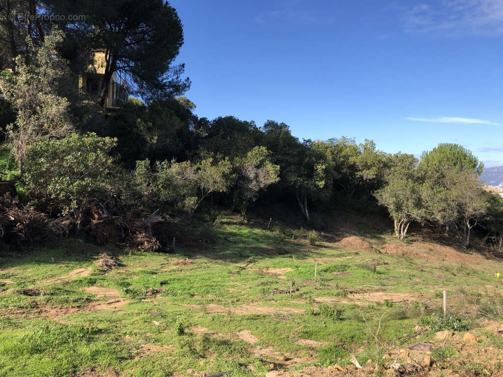 Maison à PIETROSELLA