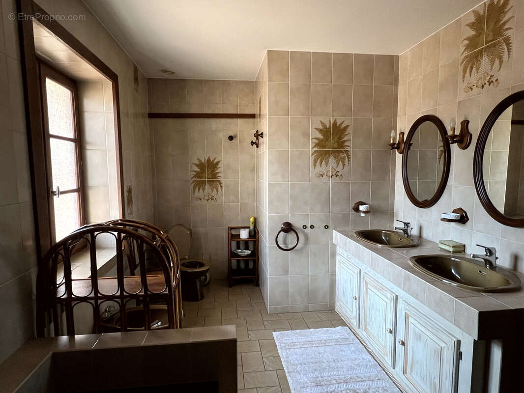 Maison à GONTAUD-DE-NOGARET