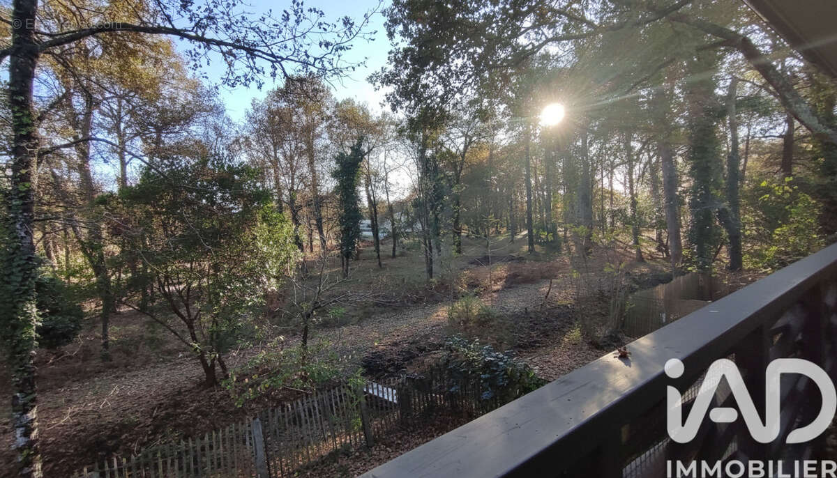 Photo 4 - Maison à ANDERNOS-LES-BAINS