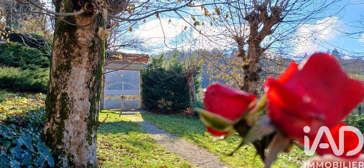 Photo 2 - Maison à LA RICAMARIE