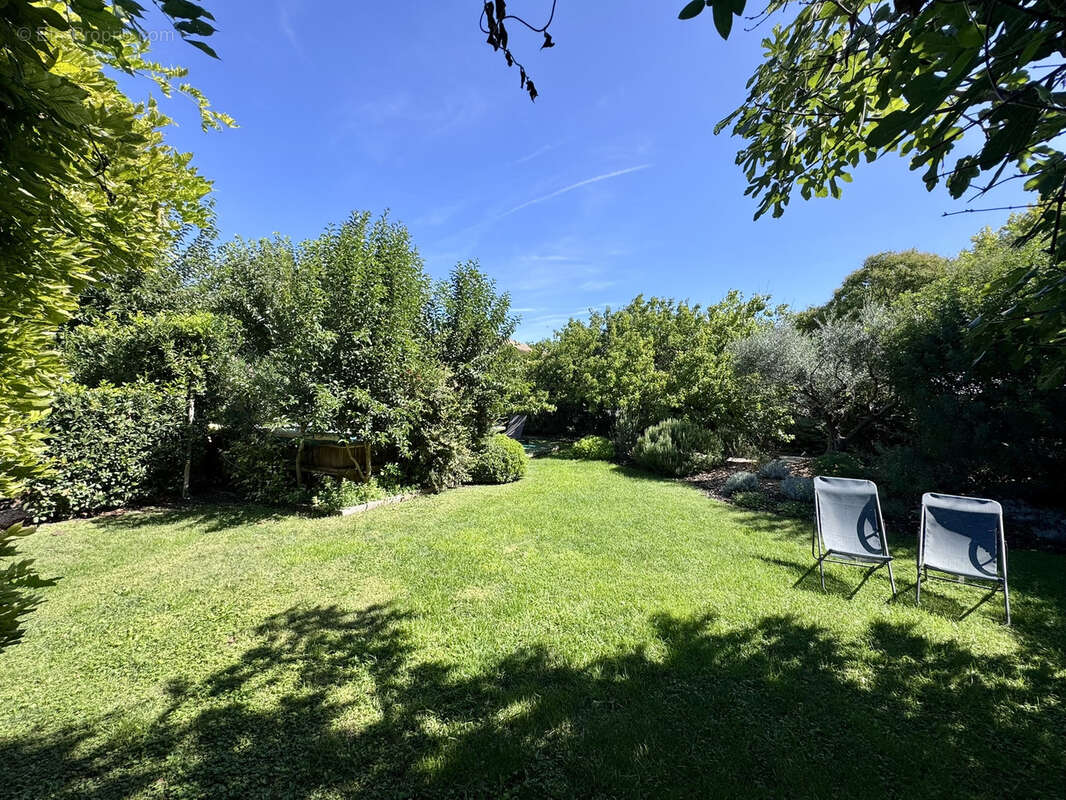 Un jardin en ville - photo 3