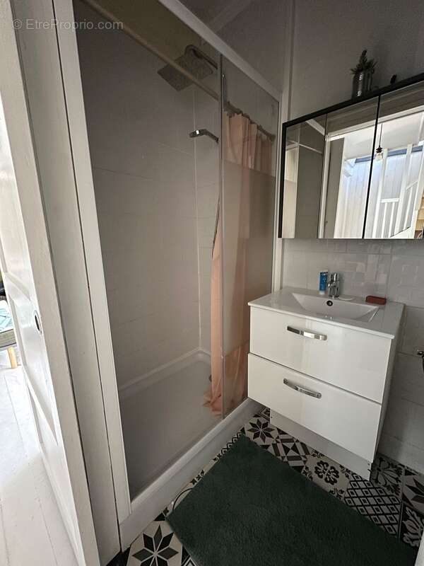 Propriete à vendre 11 pièces ORINCLES (65) - photo 29