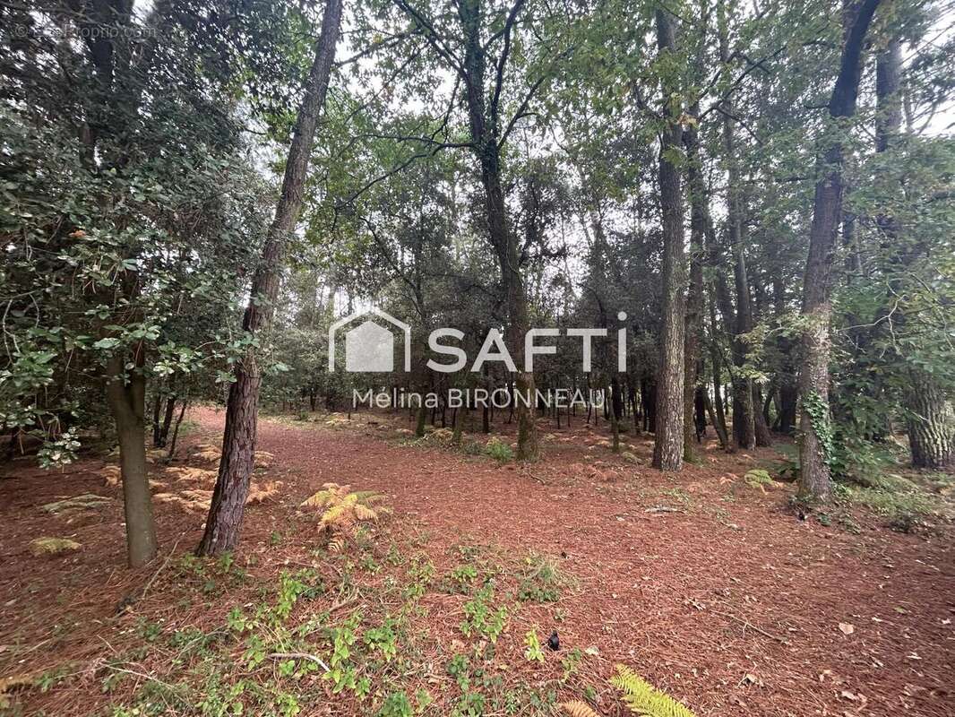 Photo 2 - Terrain à JARD-SUR-MER