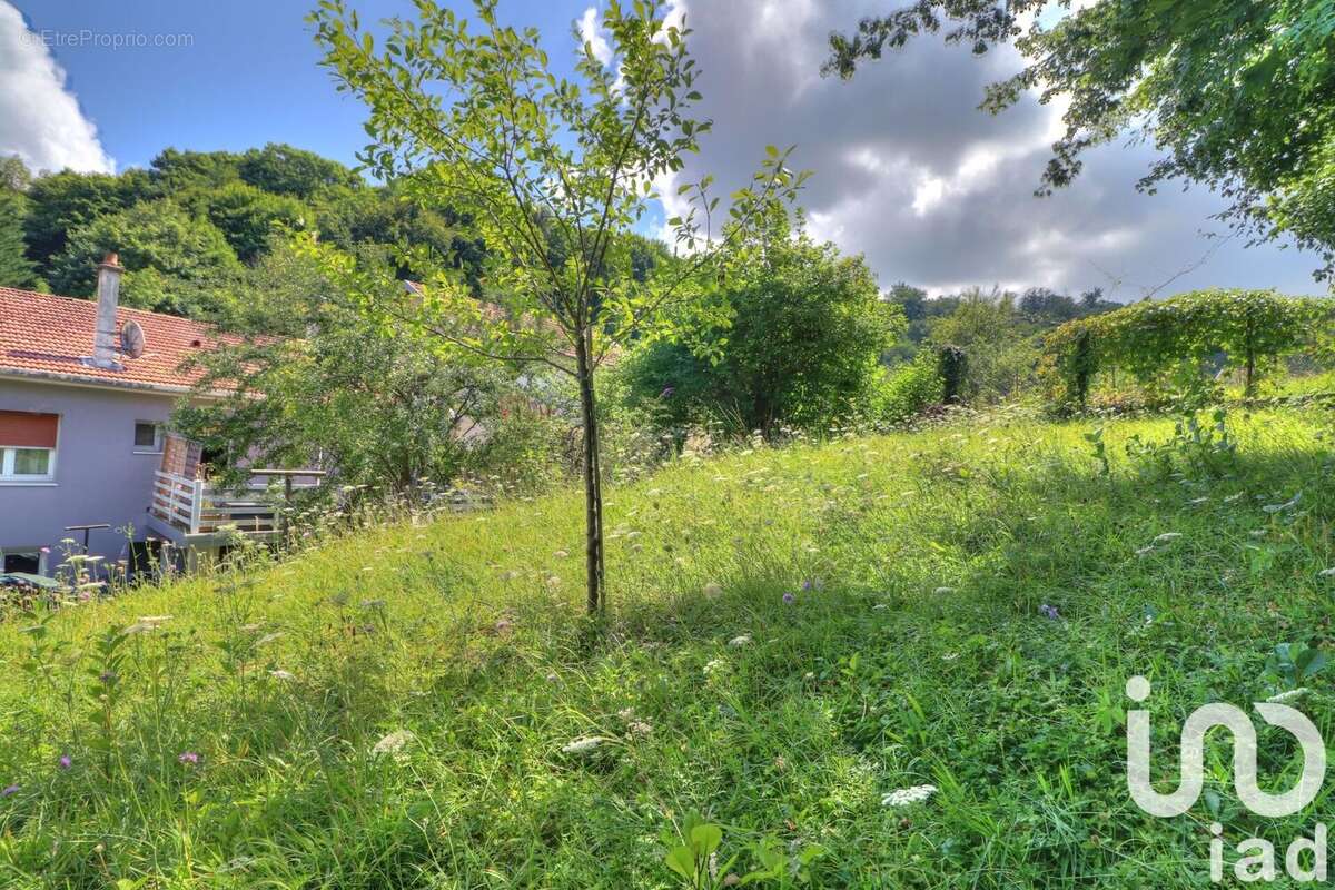 Photo 6 - Maison à FROUARD