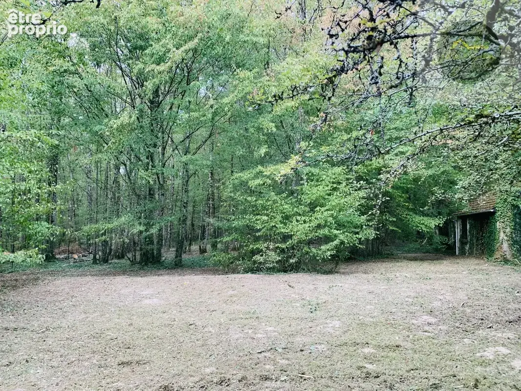 Domaine residendiel avec etangs - photo 7