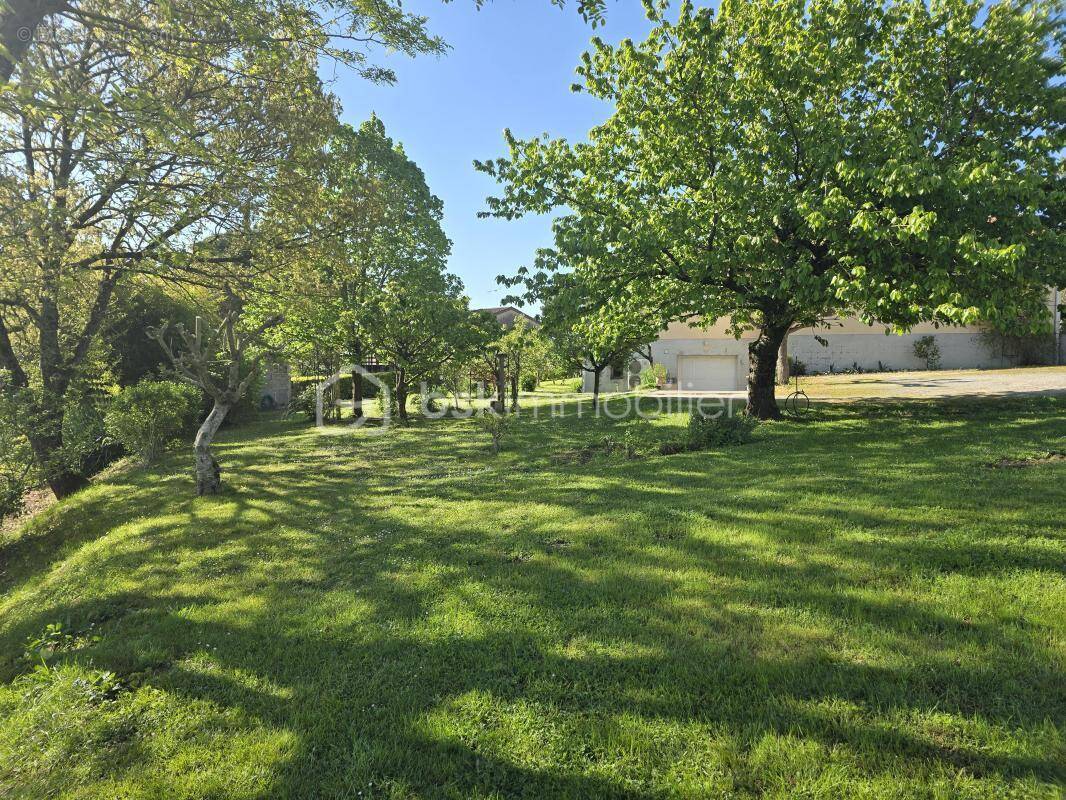 Terrain à BELBERAUD