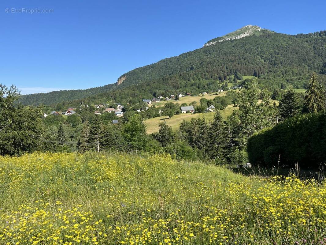 Terrain à SARCENAS