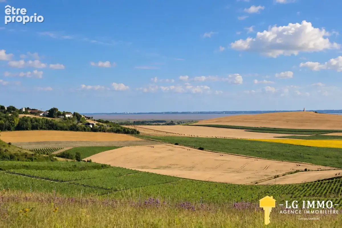 Vue magnifique sur l’estuaire pour cette authentique propriété viticole et ses grandes dépendances en pierres - photo 24