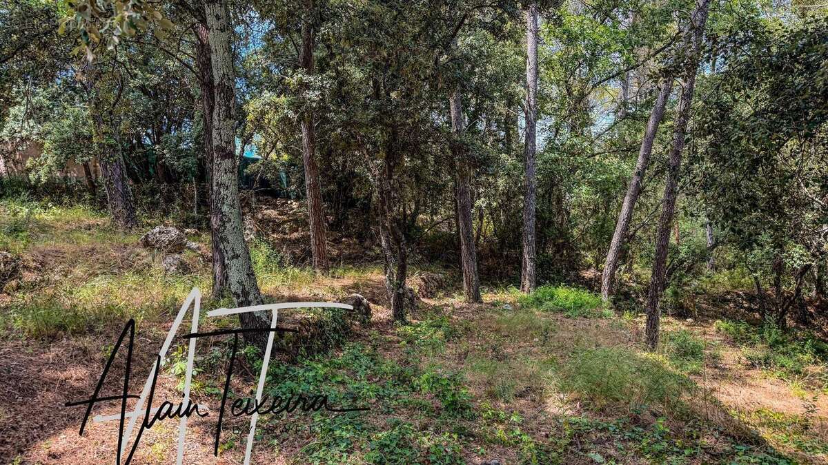 Photo 4 - Terrain à LORGUES