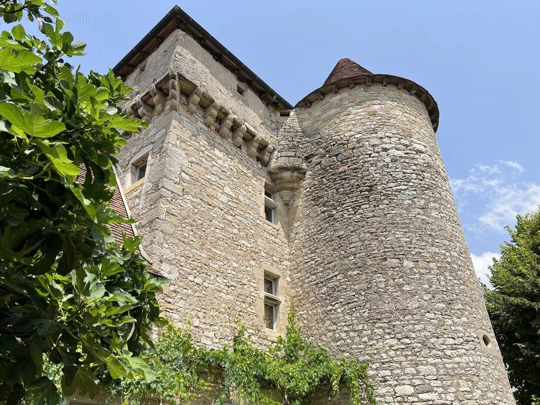 Maison 10 pièces 370 m² · à Ambeyrac · 370 m² · 899 000 €