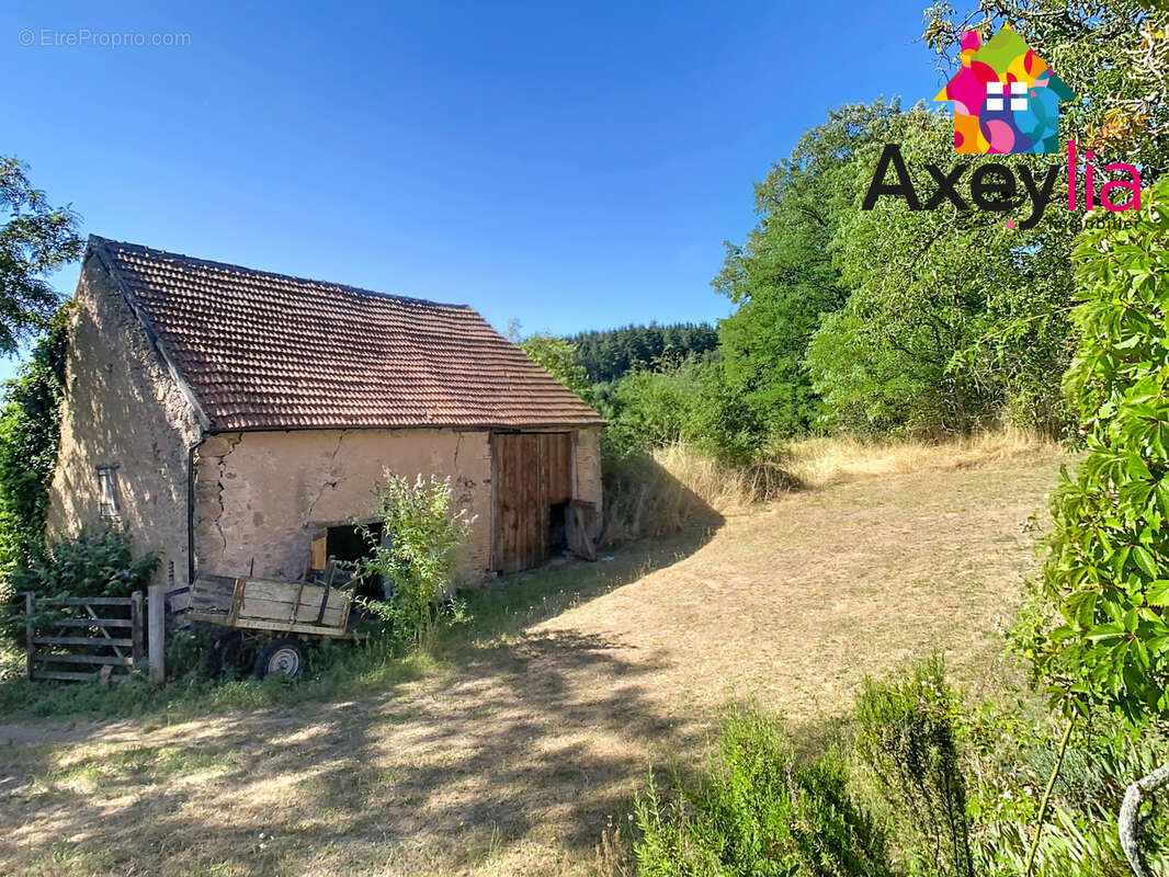 A vendre- proche lapalisse-  maison avec dépendances sur terrain de plus de 2 ha - photo 14