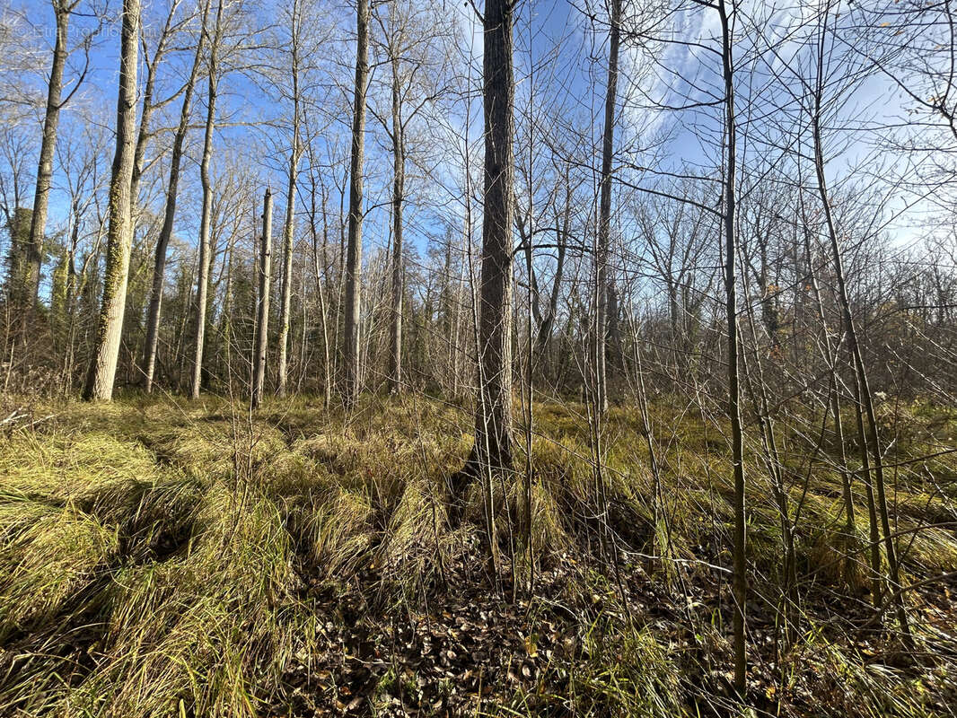 Maison à ABBEVILLE-LA-RIVIERE