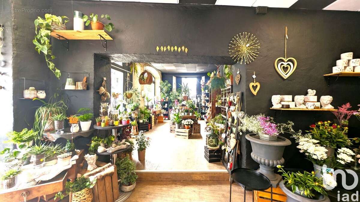 Photo 3 - Commerce à LE PUY-EN-VELAY