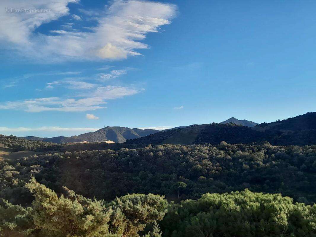 Propriété arborée avec vu panoramique sur la mer et la nature - photo 29
