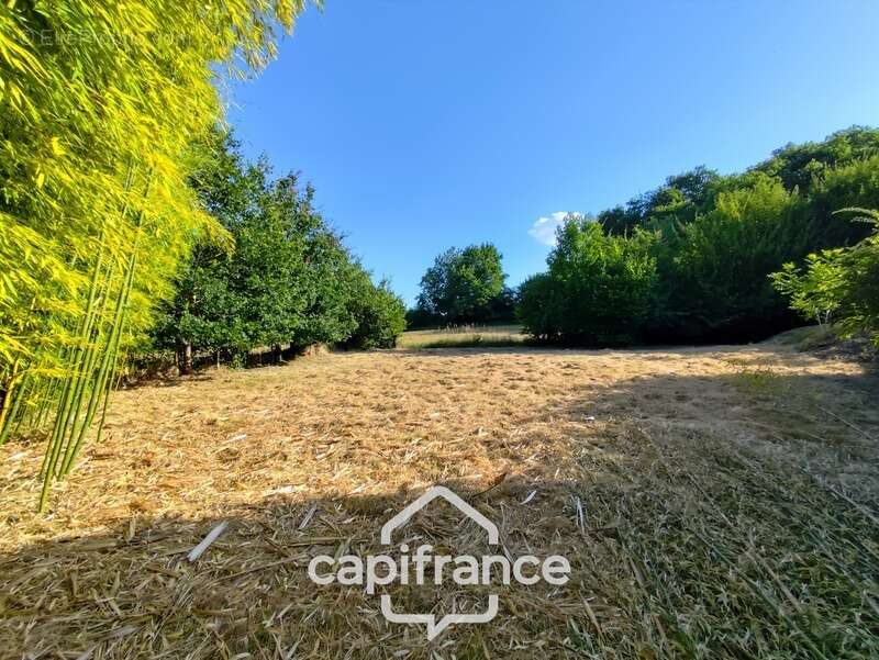 Maison à vendre 4 pièces LA CHAPELLE GAUGAIN (72)  -  Terrain 2925 m²  - - photo 16