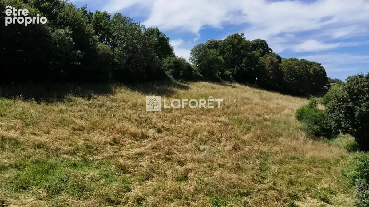 Terrain à vendre Chatillon Sur Chalaronne 11049 m2 - photo 4