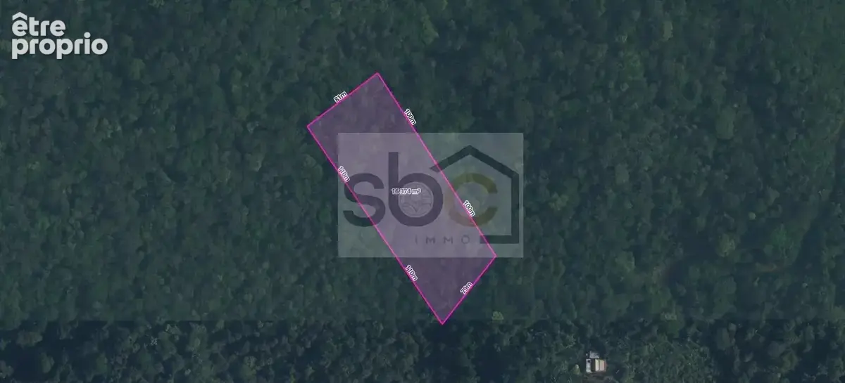 Roura – Terrain constructible 16 361 m² – Lotissement Marguerite - Guyane française - photo 3