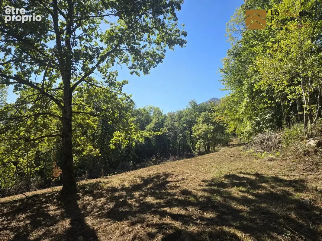 Terrain 10 152 m² à vendre à Salles (65400) - photo 3