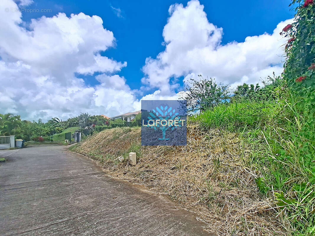Terrain à LE LAMENTIN