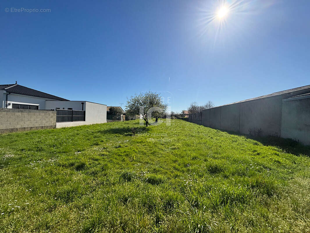 Terrain à SAINT-HILAIRE-DE-CHALEONS