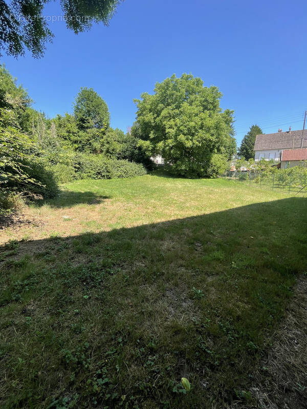 Terrain à VAILLY-SUR-SAULDRE