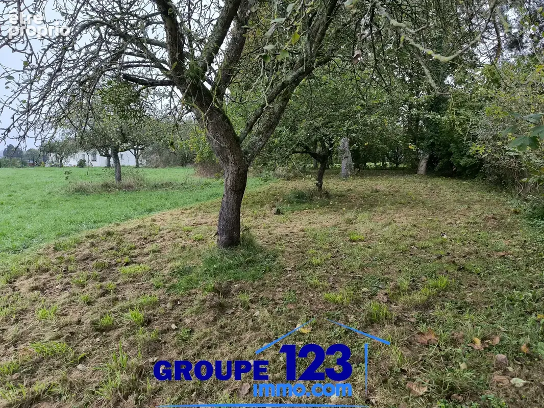 Terrain à Bâtir - photo 4
