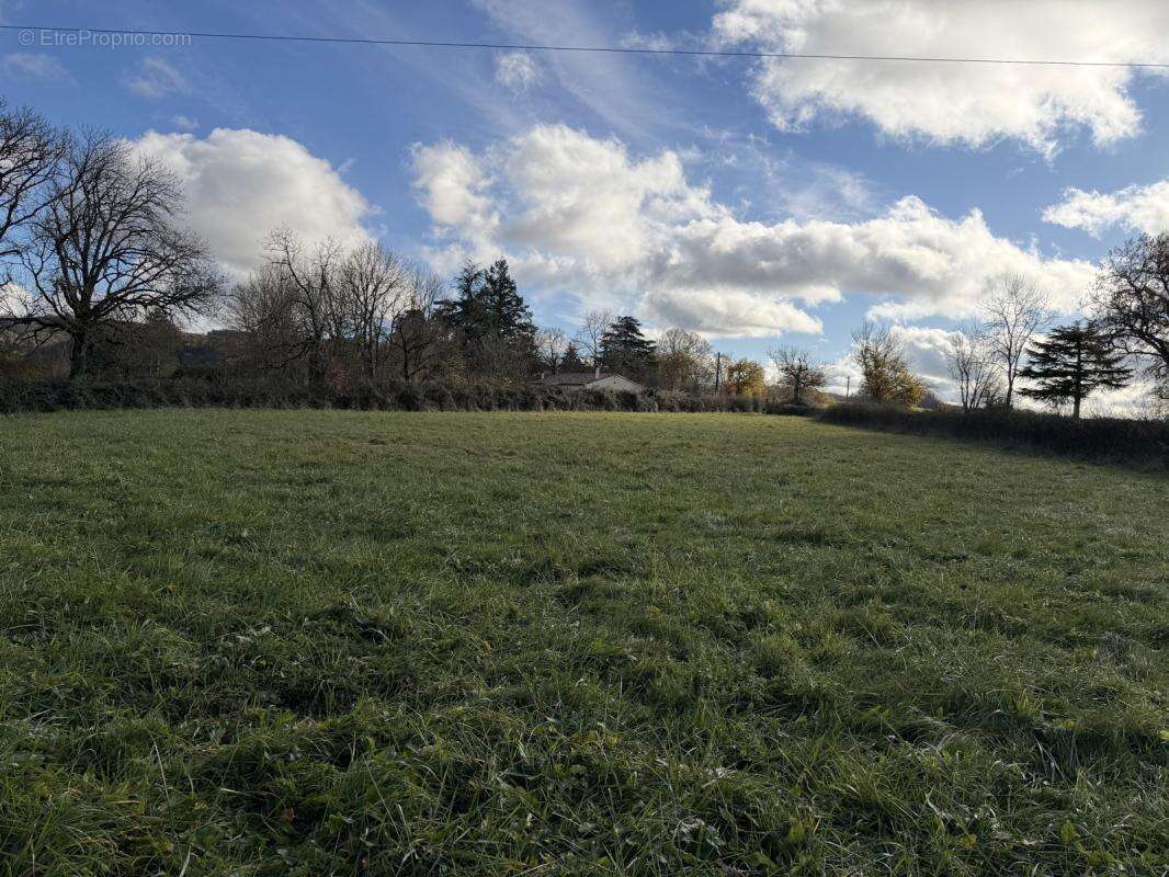 Terrain à PAMPELONNE