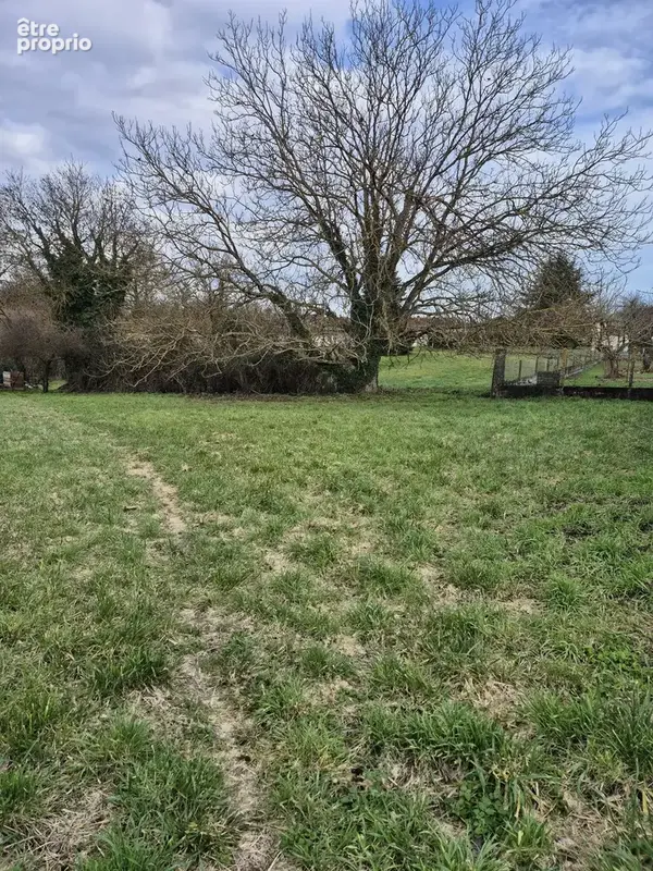 Terrain à LA COURONNE